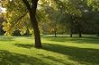 Shaded/woodland shady Area Grass seed Lawn Seed 5kg. Covers up to 125 square metres