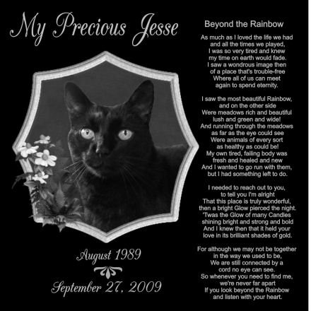12 x 12 Lazer Gifts Personalized Black Granite Pet Memorial Marker Style Jesse
