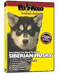 SIBERIAN HUSKY DVD! Includes Dog & Puppy Training Video