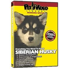 SIBERIAN HUSKY DVD! Includes Dog & Puppy Training Video