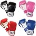 Everlast Youth Boxing Gloves