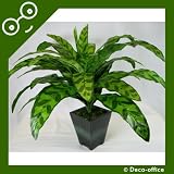 48cm Potted Artificial Silk Rattlesnake (Calathea Insignis) Plant ~ Office Plant with Pot ~ Home & Kitchen Decoration