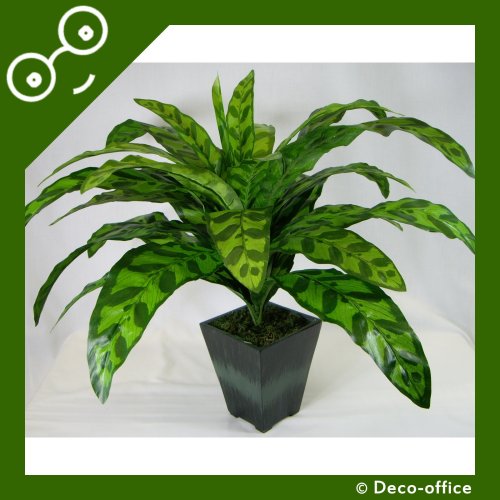 48cm Potted Artificial Silk Rattlesnake (Calathea Insignis) Plant ~ Office Plant with Pot ~ Home & Kitchen Decoration