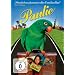 Paulie - Ein Plappermaul macht seinen Weg