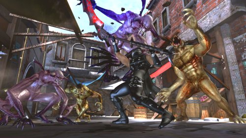NINJA GAIDEN 2(ニンジャガイデン 2)【CEROレーティング「Z」】 特典 オフィシャルガイドブック付き NINJA GAIDEN 2(ニンジャガイデン 2)【CEROレーティング「Z」】 特典 オフィシャルガイドブック付き