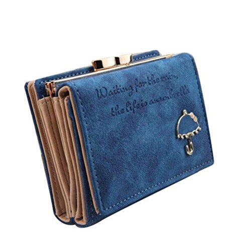 Blue Red(tm) Nobby Womens Vintage Layers Suede Fabric Zipper Chic Design Card Wallets