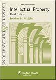 Intellectual Property: Examples & Explanations, Third Edition