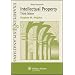 Intellectual Property: Examples & Explanations, Third Edition