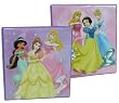 Disney Princess 3 Ring Binder - stationery binder with pocket and clip