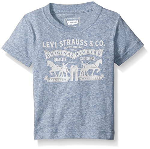 Levi's Big Boys' Levis Graphic Cotton Tee