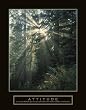 Attitude - Forest Light, Motivational Poster