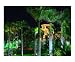 Atlantis at Night, Bahamas Scenic Photographic Poster Print by A. Phillips, 10x8