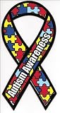 Autism Magnet - LARGE