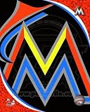 Miami Marlins 2012 Team Logo Licensed Photo Print by Photofile (8.00 x 10.00)