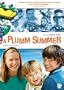 A Plumm Summer