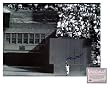 Willie Mays San Francisco Giants MLB Hand Signed 16x20 Photograph Horizontal The Catch