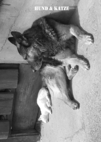 edition cumulus Hund & Katze: Notizbuch Tierliebe, Notebook fast DIN A4, liniert