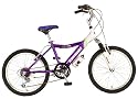 Kawasaki KX20G Girl's 20- Inch Bicycle, Purple