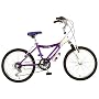 Kawasaki KX20G Girls' 20- Inch Bike, Purple