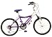 Kawasaki KX20G Girl's 20- Inch Bicycle, Purple