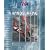RYA Intermediate Windsurfing