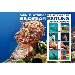 Digitale Unterwasser-Fotografie - Bildbearbeitung