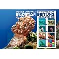Digitale Unterwasser-Fotografie - Bildbearbeitung