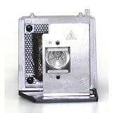 Liberty Brand Replacement Lamp for TOSHIBA TLPLW9 including generic housing and brand new Phoenix lamp