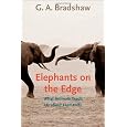Elephants on the Edge: What Animals Teach Us about Humanity