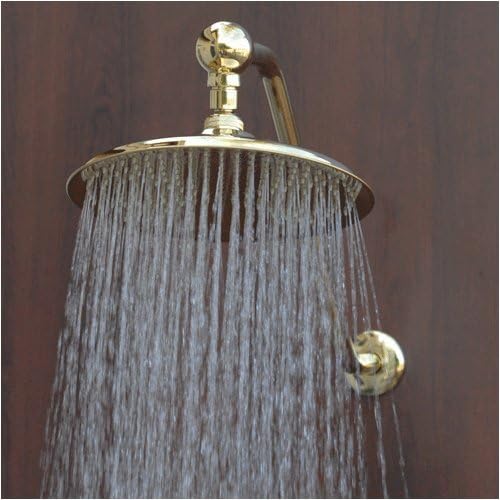 Atlantis 2 Rain Shower Head with Shower Arm, Gold