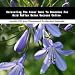 acid_reflux24acid reflux - Unraveling The Inner Game To Remedies For Acid