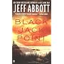 Black Jack Point by Jeff Abbott