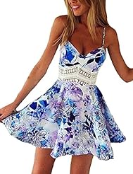 Summer Sleeveless Lace Above the Knee Short Floral Print Skater Dress/Mini Dress 