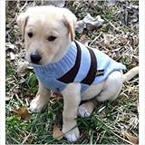 IMAGE OF Rugby Dog Sweater Size: Small (12