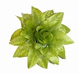 Versatile 3 Function Silk Flower Clip Bow ~ Green (1025)