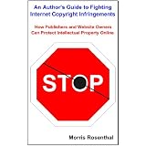 An Author's Guide to Fighting Internet Copyright Infringements: How Publishers and Website Owners Can Protect Intellectual Property Online