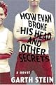 How Evan Broke His Head and Other Secrets