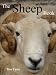 The Sheep Book for Smallholders