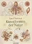 Kunstformen der Natur