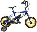 Raleigh Ziggy Kids Bike - Blue, 12 Inch
