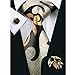 CAOFENVOO Men's Silk Tie Necktie set