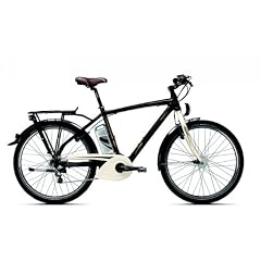 Raleigh E Bike Leeds Tour 7G Nexus 8Ah Herren kastanienbraun