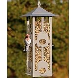 Squirr-Be-Gone I Feeder