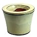 Self Watering Glazed Ceramic Pot - Beige - 6 3/8