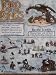 2004 - New Line / Play Along - Lord of the Rings : Armies of Middle-Earth - Battle Scenes - Pelennor Fields with Fell Beast Set - RARE - with Witch-King & Eowyn in Rohan Armor Figures - Mint - Out of Production - Limited Edition - Collectible_s-2