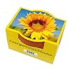 Mini-Pflanzset Zwergsonnenblume