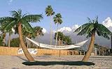 The Original Palm Island Hammock Stand