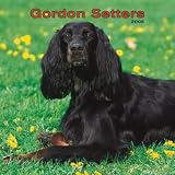 Gordon Setters 2008 Square Wall