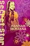 Disney Hannah Montana Window Poster 24-by-36-Inch