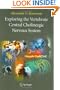 Exploring the Vertebrate Central Cholinergic Nervous System